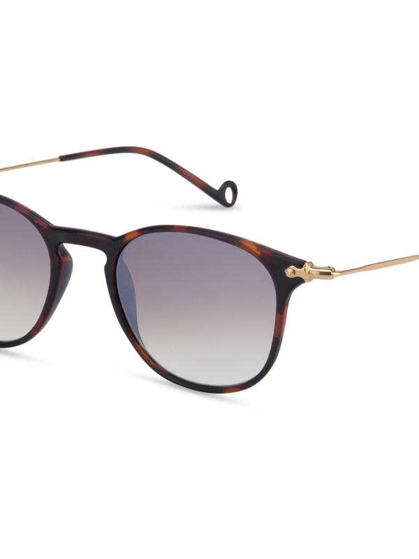 /original/MONTAUK_EPYP_BrownGradi_4.png_convert-600x800