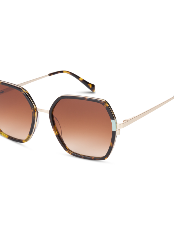 /original/MSSEYTM5001_EYEC_Tortie Gre_5.png_convert-600x800