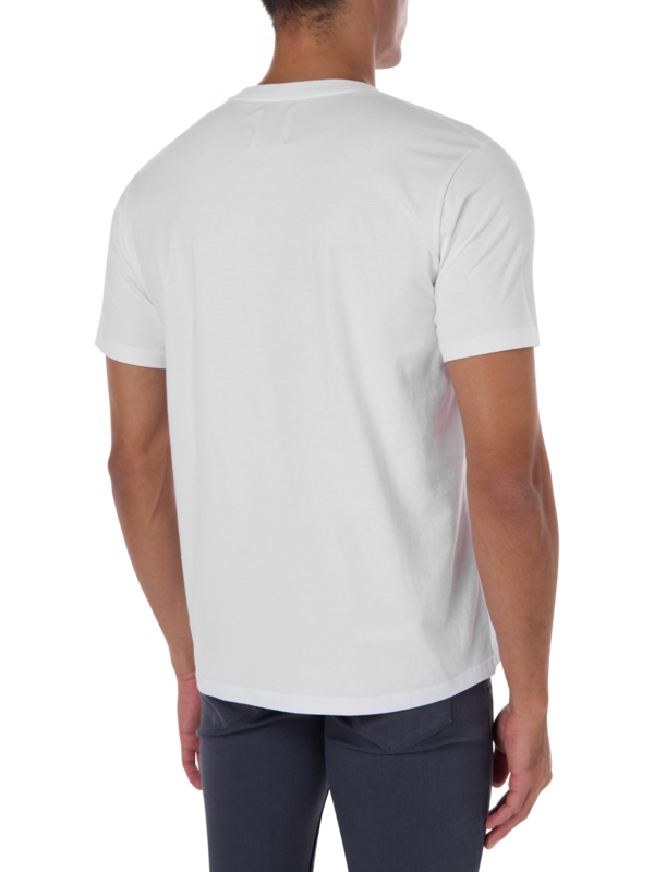 /original/TURTLEHEADLEO_BRCK_WHITE_4.png_convert-600x800